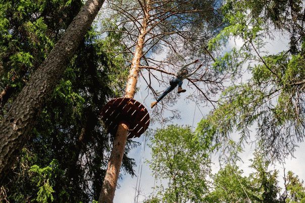 trapecia.jpg trapecia.jpg