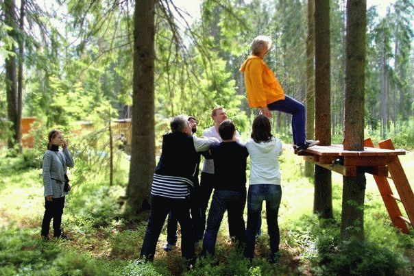 transfol.jpg transfol.jpg