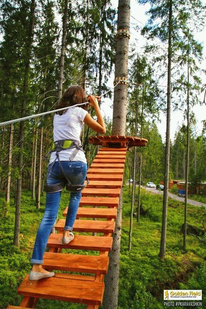 trolei.jpg trolei.jpg